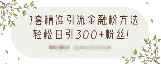 1套精准引流金融粉方法，轻松日引300 粉丝【视频课程】