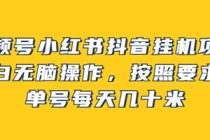 视频号小红书抖音挂机项目，小白无脑操作，按照要求来，单号每天几十米