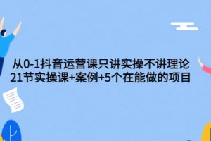 从0-1抖音运营课只讲实操不讲理论：21节实操课 案例 5个在能做的项目