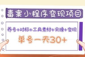 毒案小程序变现项目：养号 对标 工具素材 实操 变现