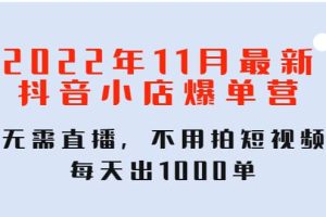 2022年11月最新抖音小店爆单训练营：无需直播，不用拍短视频，每天出1000单