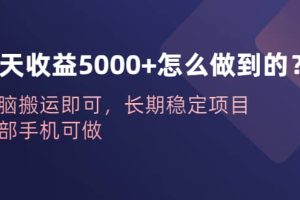 一天收益5000 怎么做到的？无脑搬运即可，长期稳定项目，一部手机可做