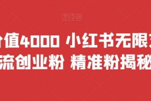 首发价值4000 小红书无限艾特暴力引流创业粉 精准粉揭秘教程