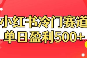 小红书冷门赛道，单日盈利500 【揭秘】