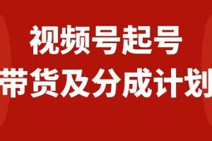 视频号快速起号，分成计划及带货，0-1起盘、运营、变现玩法，日入1000