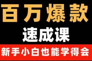 百万爆款速成课：用数据思维做爆款，小白也能从0-1打造百万播放视频