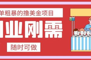 最简单粗暴的撸美金项目 会打字就能轻松赚美金