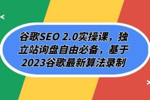 谷歌SEO 2.0实操课，独立站询盘自由必备，基于2023谷歌最新算法录制（94节