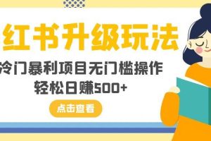 小红书升级玩法，冷门暴利项目无门槛操作，轻松日赚500