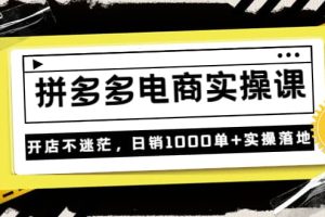 《拼多多电商实操课》开店不迷茫，日销1000单 实操落地（价值299元）