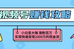 玩转微信视频号赚钱：小白变大咖涨粉百万实现快速变现1000万的现金流