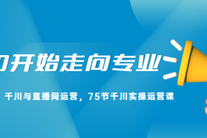 从0开始走向专业，千川与直播间运营，75节千川实操运营课