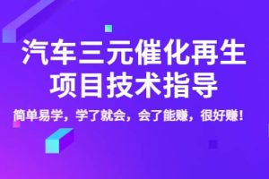 汽车三元催化再生项目技术指导，简单易学，学了就会，会了能赚，很好赚！