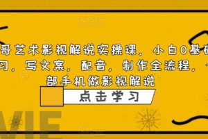 影视解说实战课，小白0基础 写文案 配音 制作全流程 一部手机做影视解说