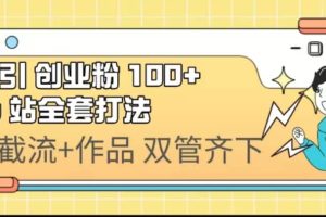 日引创业粉 100  b 站全套打法【实操视频】