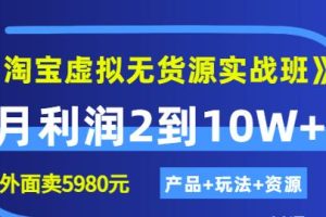 《淘宝虚拟无货源实战班》线上第四期：月利润2到10W （产品 玩法 资源)