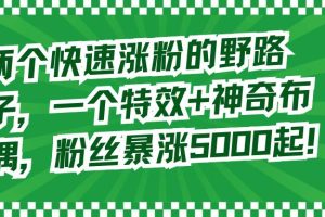 两个快速涨粉的野路子，一个特效+神奇布偶，粉丝暴涨5000起！