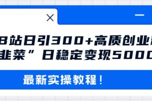 最新B站日引300+高质创业粉教程！“割韭菜”日稳定变现5000+！