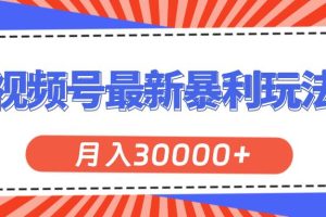 视频号最新暴利玩法，轻松月入30000+