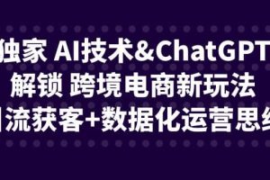 独家 AI技术ChatGPT解锁 跨境电商新玩法，引流获客+数据化运营思维