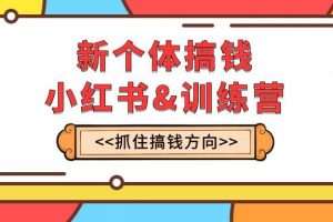 新个体·搞钱-小红书训练营：实战落地运营方法，抓住搞钱方向，每月多搞2w+