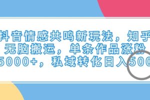 抖音情感共鸣新玩法，知乎无脑搬运，单条作品涨粉5000+，私域转化日入500