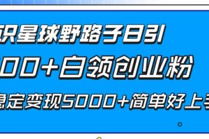 知识星球野路子日引300+白领创业粉，日稳定变现5000+简单好上手！