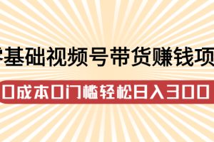 零基础视频号带货赚钱项目，0成本0门槛轻松日入300+【视频教程】