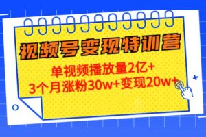 20天视频号变现特训营：单视频播放量2亿+