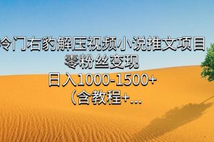 冷门右豹解压视频小说推文项目，零粉丝变现，日入1000-1500+（含教程）