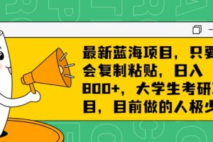 最新蓝海项目，只要会复制粘贴，日入800+，大学生考研项目，目前做的人极少