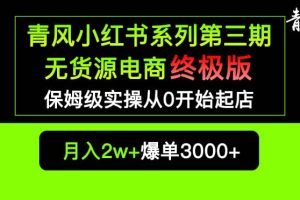 小红书无货源电商爆单终极版【视频教程+实战手册】保姆级实操从0起店爆单