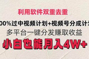 利用软件双重去重，100%过中视频+视频号分成计划小白也可以月入4W+