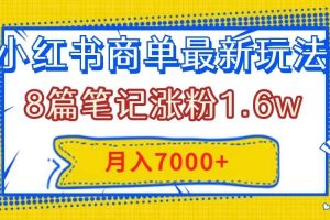 小红书商单最新玩法，8篇笔记涨粉1.6w，几分钟一个笔记，月入7000+