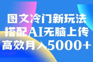 图文冷门新玩法，搭配AI无脑上传，高效月入5000+