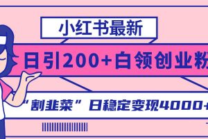 小红书最新日引200+创业粉”割韭菜“日稳定变现4000+实操教程！