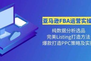 亚马逊FBA运营实操课 纯数据分析选品+完美Listing打造+爆款打造PPC策略实操