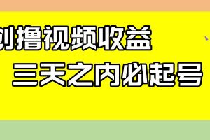 最新撸视频收益玩法，一天轻松200+