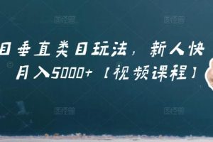 虚拟项目垂直类目玩法，新人快速起店，月入5000+【视频课程】