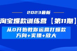 淘宝爆款训练营【第11期】 从0开始教你运营打爆款，方向+实操+放大