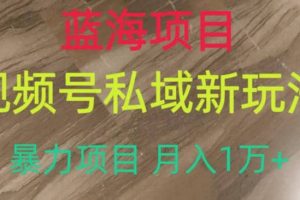 蓝海项目，视频号私域新玩法，暴力项目月入1万+【揭秘】