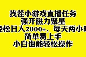 找茬小游戏直播，强开磁力聚星，轻松日入2000+，小白也能轻松上手