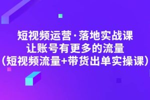 短视频运营·落地实战课 让账号有更多的流量（短视频流量+带货出单实操）