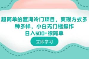 超简单的蓝海冷门项目，变现方式多种多样，小白无门槛操作日入500+很简单