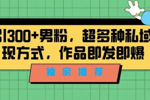 独家推荐！日引300+男粉，超多种私域变现方式，作品即发即报