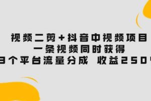 视频二剪+抖音中视频项目：一条视频获得3个平台流量分成 收益250% 价值4980