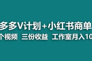 【蓝海项目】多多v计划+小红书商单 一个视频三份收益 工作室月入10w