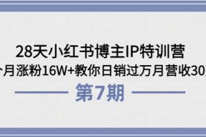 28天小红书博主IP特训营《第6+7期》4个月涨粉16W+教你日销过万月营收30万