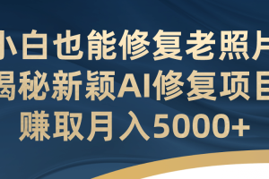 小白也能修复老照片！揭秘新颖AI修复项目，赚取月入5000+