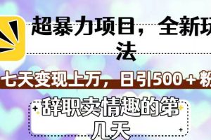 超暴利项目，全新玩法（辞职卖情趣的第几天），七天变现上万，日引500+粉